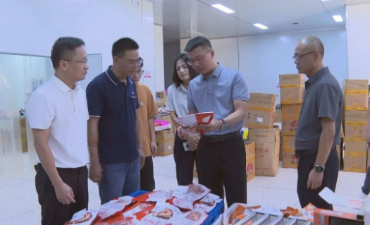 縣長調研電商及口岸經濟工作，聚焦海淘物流發展新路徑
